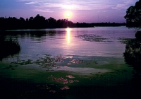 sunset over Ramsey Lake