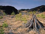 Photo of Copper Cliff Landscape (Photograph by Don Johnston)