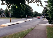 Raised median