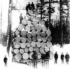 Lumberjacks