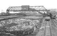 O'Donnell roast yard