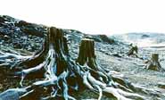 Barren lands