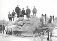 Horses pulling lumber