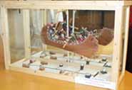 Flying canoe